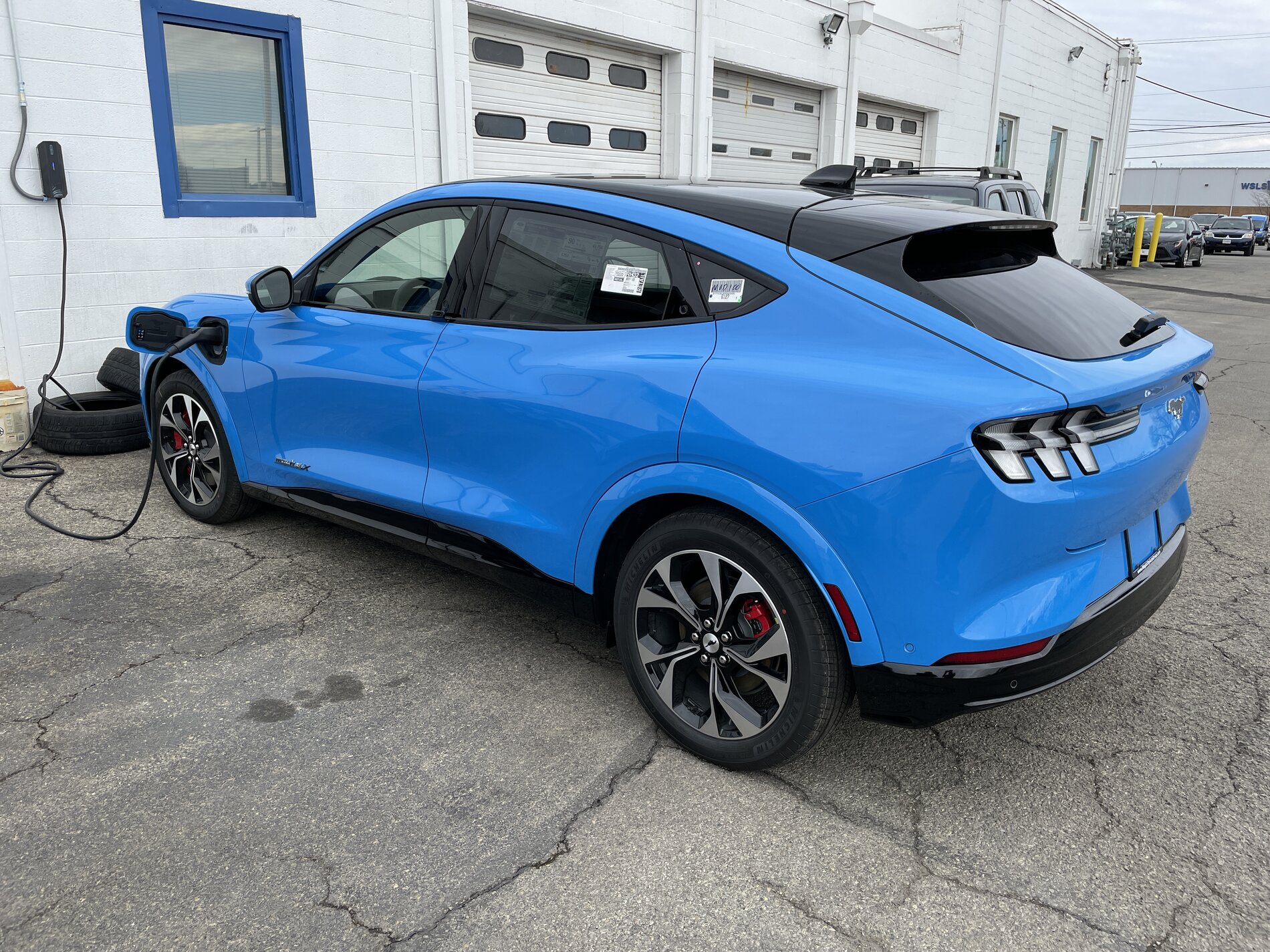 mach e gt grabber blue